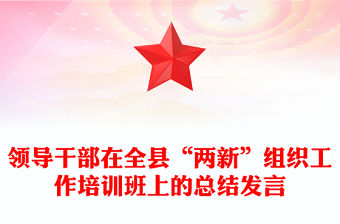 領導干部在全縣“兩新”組織工作培訓班上的總結發言