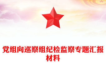 黨組向巡察組紀檢監察專題匯報材料