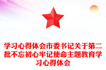 學習心得體會市委書記關于第二批不忘初心牢記使命主題教育學習心得體會