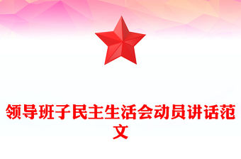 領導班子民主生活會動員講話范文