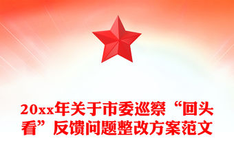 20xx年關于市委巡察“回頭看”反饋問題整改方案范文