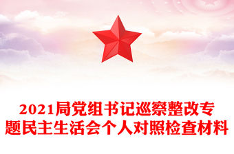 2021局黨組書記巡察整改專題民主生活會個人對照檢查材料