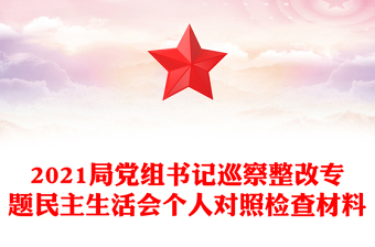 2021局黨組書記巡察整改專題民主生活會個人對照檢查材料