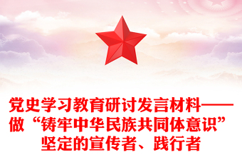 黨史學(xué)習(xí)教育研討發(fā)言材料——做“鑄牢中華民族共同體意識”堅定的宣傳者、踐行者