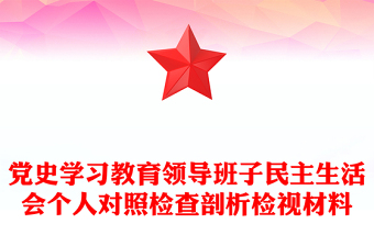 黨史學(xué)習(xí)教育領(lǐng)導(dǎo)班子民主生活會個人對照檢查剖析檢視材料