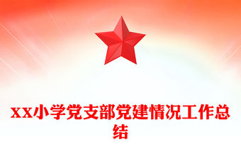 XX小學黨支部黨建情況工作總結