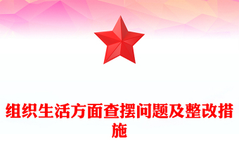 組織生活方面查擺問題及整改措施