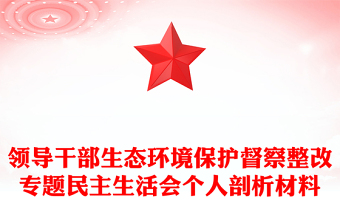 領(lǐng)導(dǎo)干部生態(tài)環(huán)境保護(hù)督察整改專題民主生活會(huì)個(gè)人剖析材料