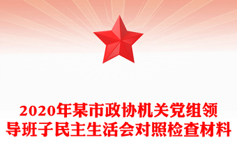 2020年某市政協(xié)機(jī)關(guān)黨組領(lǐng)導(dǎo)班子民主生活會對照檢查材料