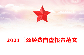 2021三公經費自查報告范文
