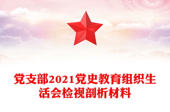 黨支部2021黨史教育組織生活會(huì)檢視剖析材料