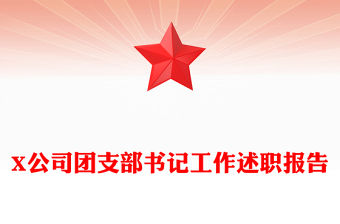 X公司團(tuán)支部書(shū)記工作述職報(bào)告