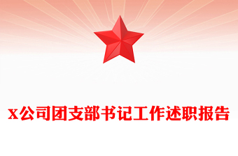 X公司團(tuán)支部書(shū)記工作述職報(bào)告
