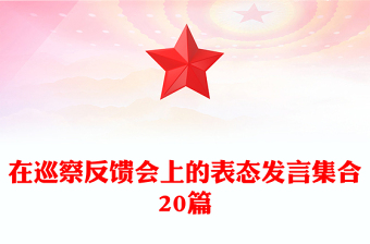 在巡察反饋會上的表態(tài)發(fā)言集合20篇