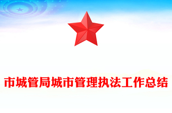 市城管局城市管理執(zhí)法工作總結(jié)
