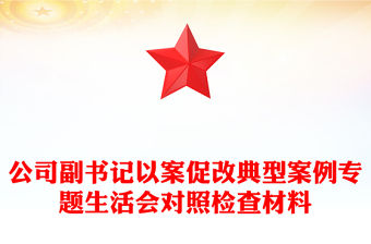 公司副書記以案促改典型案例專題生活會(huì)對(duì)照檢查材料