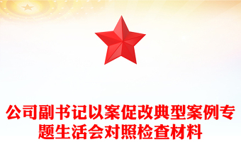 公司副書記以案促改典型案例專題生活會對照檢查材料