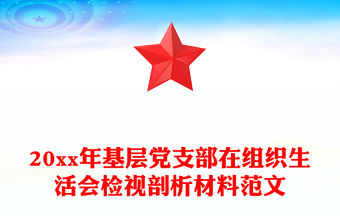 20xx年基層黨支部在組織生活會檢視剖析材料范文