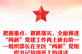 把握重點、狠抓落實，全面推進“兩新”黨建工作再上新臺階——組織部長在全區(qū)“兩新”黨組織書記培訓(xùn)班上的講話