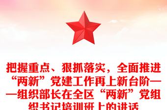 把握重點(diǎn)、狠抓落實(shí)，全面推進(jìn)“兩新”黨建工作再上新臺(tái)階——組織部長在全區(qū)“兩新”黨組織書記培訓(xùn)班上的講話