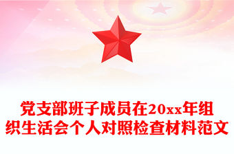 黨支部班子成員在20xx年組織生活會個人對照檢查材料范文