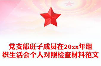 黨支部班子成員在20xx年組織生活會(huì)個(gè)人對(duì)照檢查材料范文