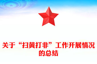 關于“掃黃打非”工作開展情況的總結