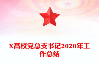 X高校黨總支書記2020年工作總結