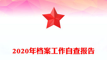 2020年檔案工作自查報告