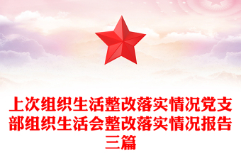 上次組織生活整改落實(shí)情況黨支部組織生活會整改落實(shí)情況報(bào)告三篇