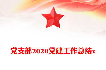黨支部2020黨建工作總結x