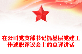 在公司黨支部書記抓基層黨建工作述職評議會上的點評講話