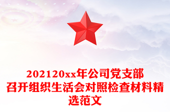 202120xx年公司黨支部召開組織生活會對照檢查材料精選范文