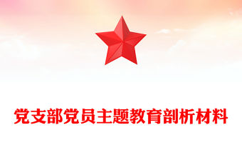 黨支部黨員主題教育剖析材料