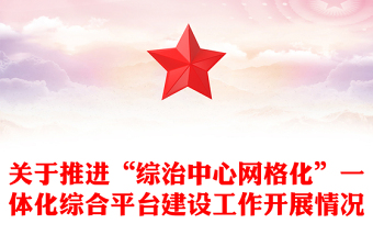 關(guān)于推進(jìn)“綜治中心網(wǎng)格化”一體化綜合平臺建設(shè)工作開展情況