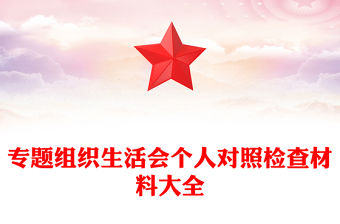 專題組織生活會個人對照檢查材料大全