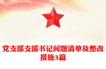 黨支部支部書記問題清單及整改措施3篇