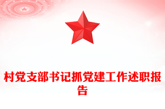 村黨支部書記抓黨建工作述職報告