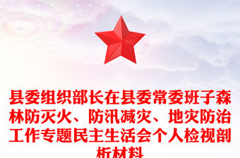 縣委組織部長在縣委常委班子森林防滅火、防汛減災、地災防治工作專題民主生活會個人檢視剖析材料