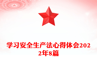 學(xué)習(xí)安全生產(chǎn)法心得體會(huì)2022年8篇