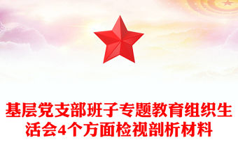 基層黨支部班子專題教育組織生活會4個方面檢視剖析材料