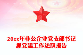 20xx年非公企業(yè)黨支部書記抓黨建工作述職報告