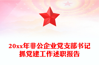 20xx年非公企業(yè)黨支部書(shū)記抓黨建工作述職報(bào)告