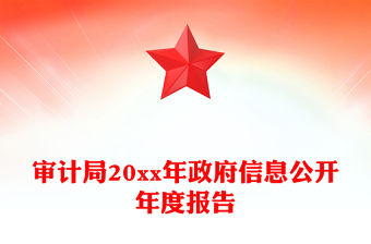 審計局20xx年政府信息公開年度報告