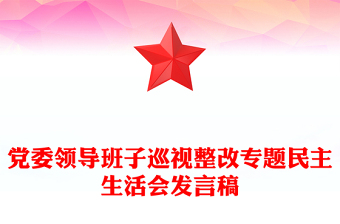黨委領(lǐng)導(dǎo)班子巡視整改專題民主生活會(huì)發(fā)言稿
