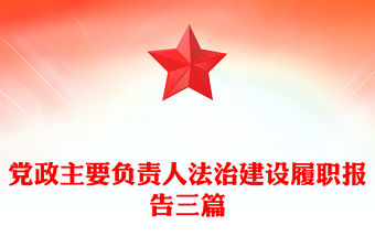 黨政主要負責人法治建設履職報告三篇