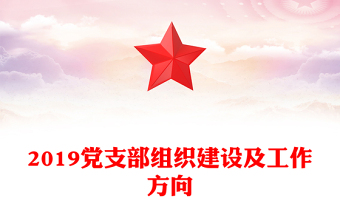 2019黨支部組織建設(shè)及工作方向