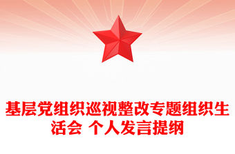 基層黨組織巡視整改專題組織生活會 個人發言提綱