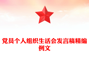 黨員個(gè)人組織生活會(huì)發(fā)言稿精編例文
