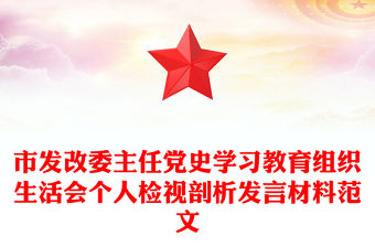 市發改委主任黨史學習教育組織生活會個人檢視剖析發言材料范文